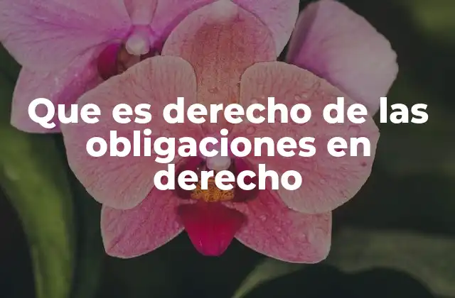Que es Derecho de las Obligaciones en Derecho