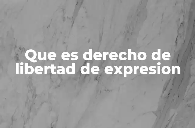 Que es Derecho de Libertad de Expresion 2 La importancia de la libre expresión en la sociedad