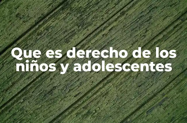 Que es Derecho de los Niños y Adolescentes 2 La importancia de los derechos en la niñez y adolescencia