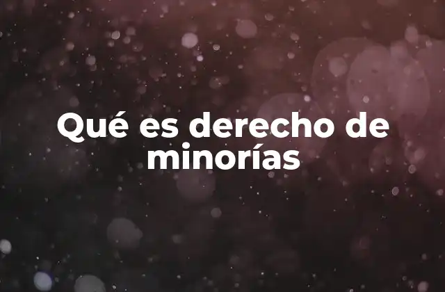 Qué es Derecho de Minorías