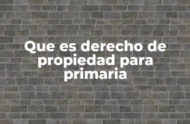 Que es Derecho de Propiedad para Primaria