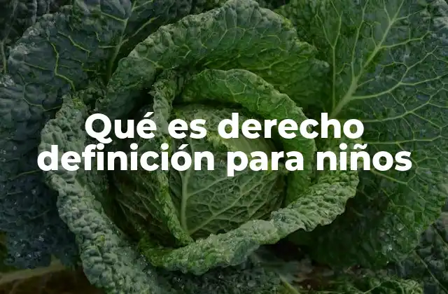 Qué es Derecho Definición para Niños