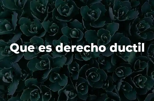 Que es Derecho Ductil