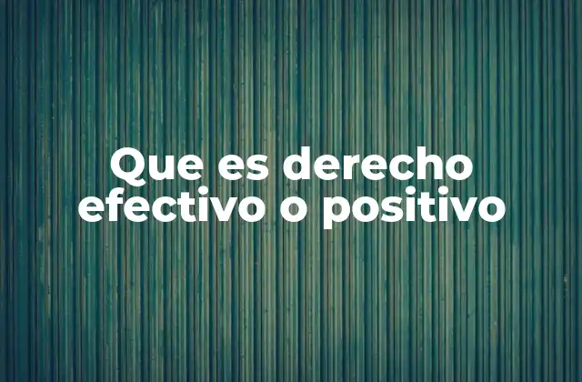 La base institucional del derecho positivo