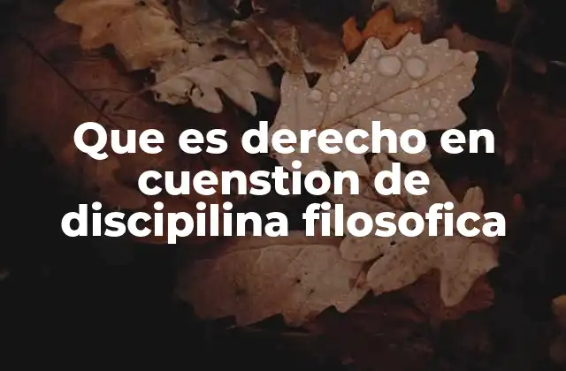 Que es Derecho en Cuenstion de Discipilina Filosofica