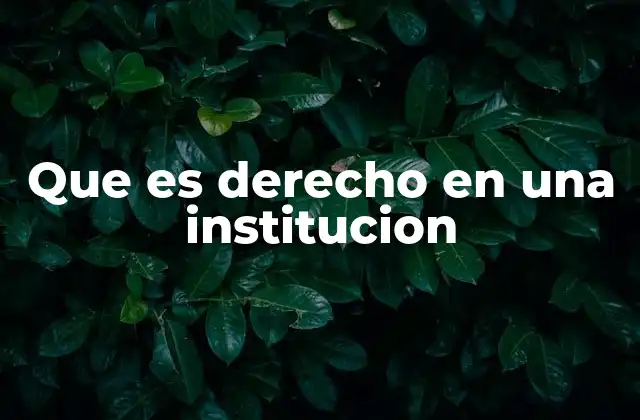 Que es Derecho en una Institucion