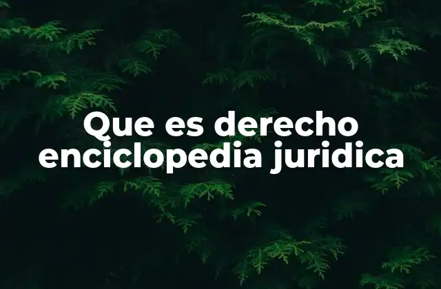 Que es Derecho Enciclopedia Juridica