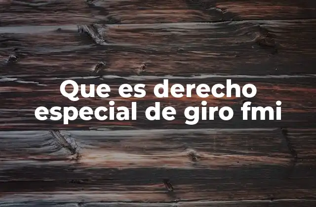 Que es Derecho Especial de Giro Fmi