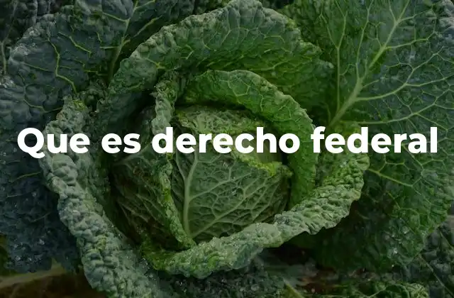 Que es Derecho Federal