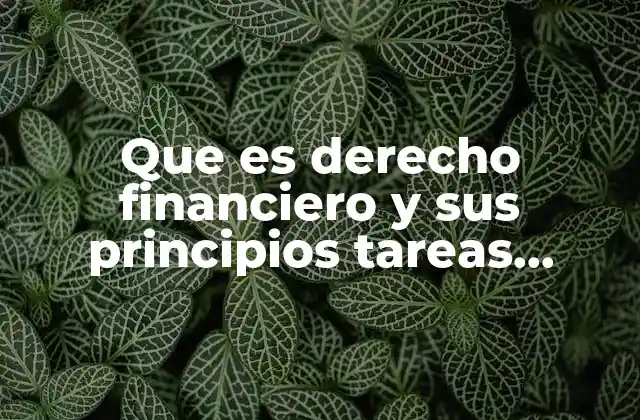 Que es Derecho Financiero y Sus Principios Tareas Jurídicas