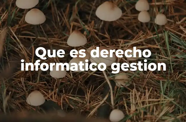 Que es Derecho Informatico Gestion