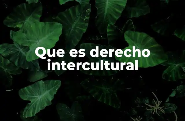 Que es Derecho Intercultural