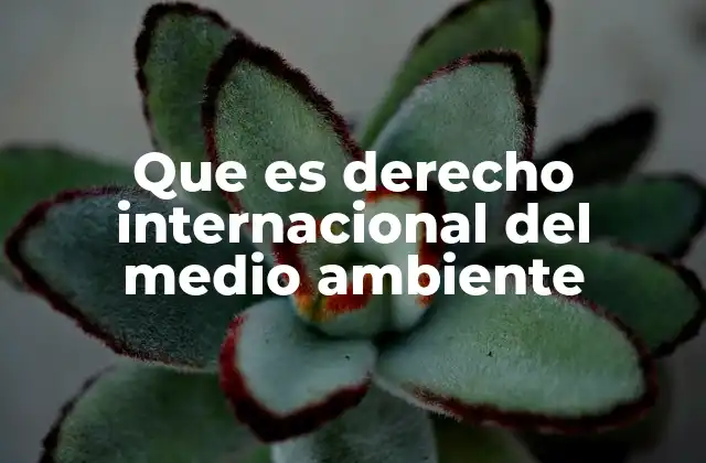 Que es Derecho Internacional Del Medio Ambiente