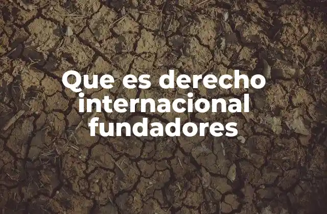 Que es Derecho Internacional Fundadores