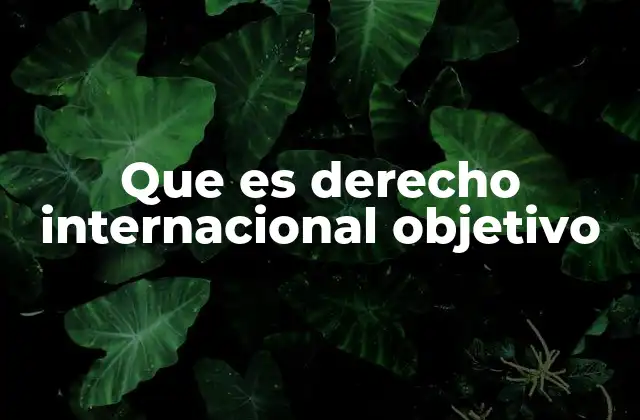 El marco legal del derecho internacional objetivo