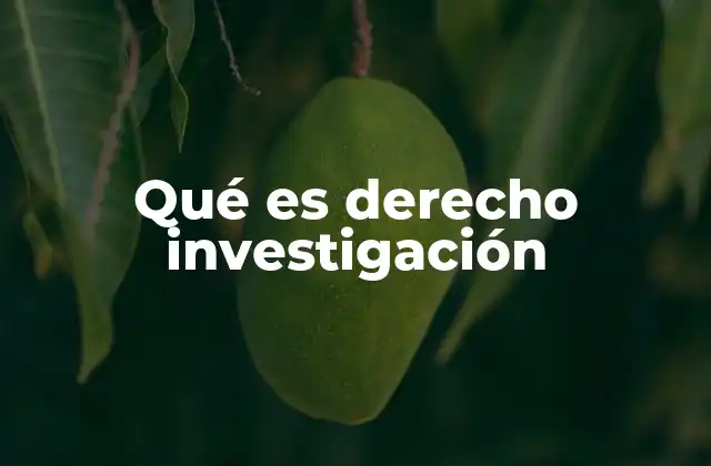 Qué es Derecho Investigación
