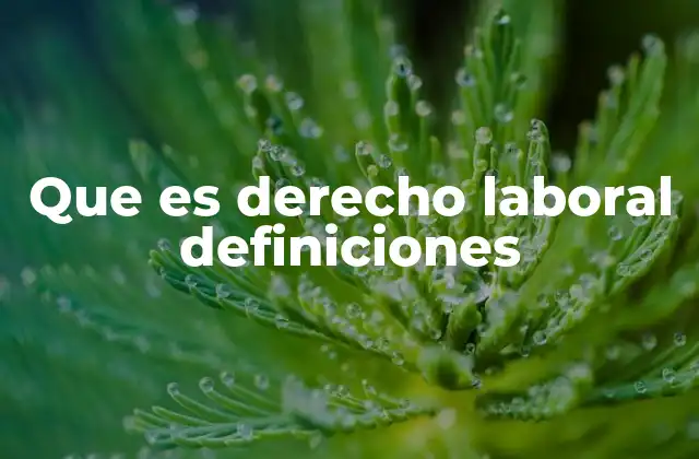 Que es Derecho Laboral Definiciones