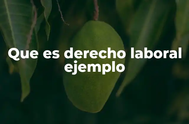 La importancia del derecho laboral en la sociedad actual