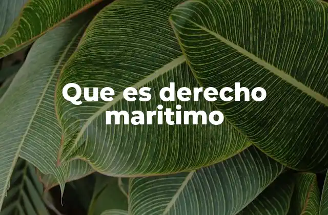 Que es Derecho Maritimo