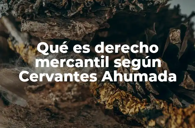 Qué es Derecho Mercantil según Cervantes Ahumada
