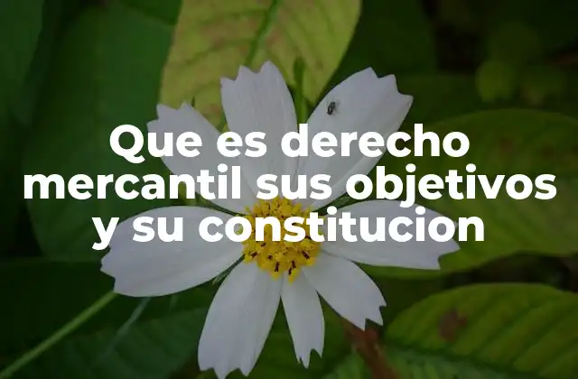 Que es Derecho Mercantil Sus Objetivos y Su Constitucion