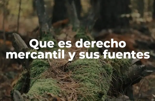 Que es Derecho Mercantil y Sus Fuentes