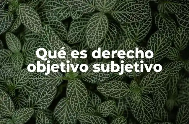 Qué es Derecho Objetivo Subjetivo
