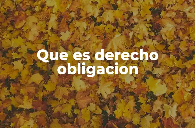 Que es Derecho Obligacion