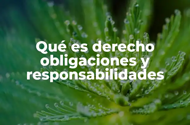 Qué es Derecho Obligaciones y Responsabilidades