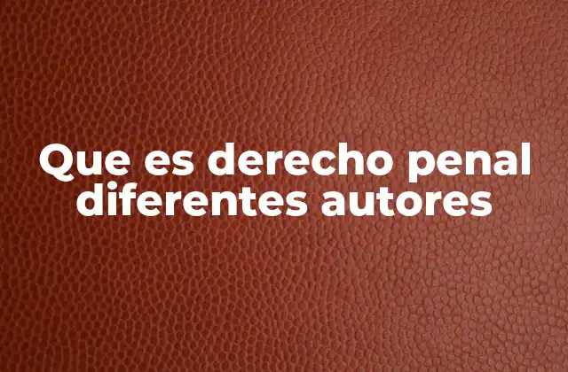 Que es Derecho Penal Diferentes Autores