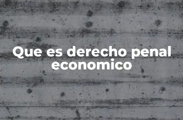 Que es Derecho Penal Economico