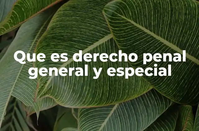 Que es Derecho Penal General y Especial