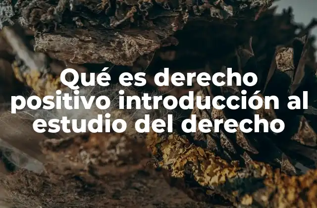 Qué es Derecho Positivo Introducción Al Estudio Del Derecho