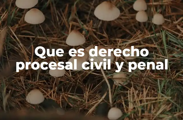 Que es Derecho Procesal Civil y Penal