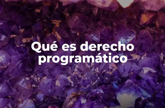 Qué es Derecho Programático