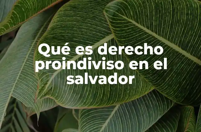 Qué es Derecho Proindiviso en el Salvador