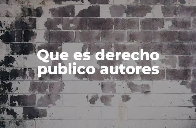 Que es Derecho Publico Autores