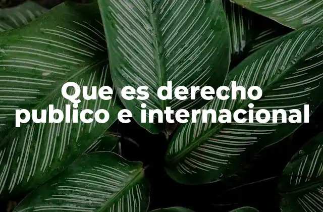 Que es Derecho Publico e Internacional 2 La importancia del marco normativo internacional