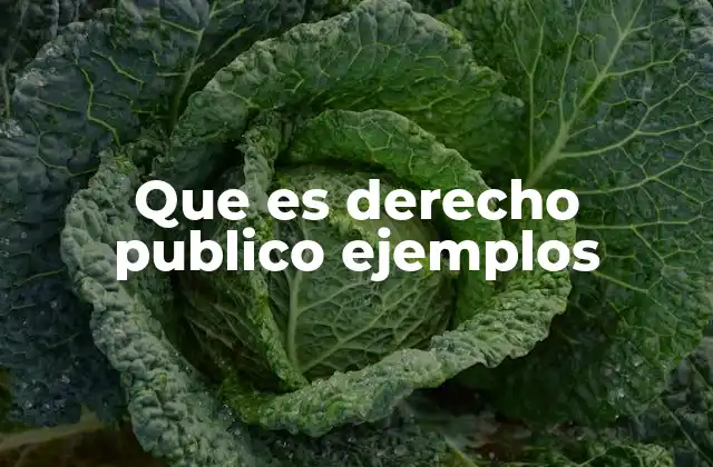Que es Derecho Publico Ejemplos