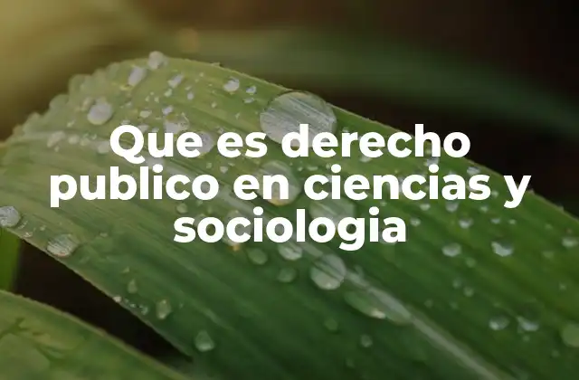 Que es Derecho Publico en Ciencias y Sociologia