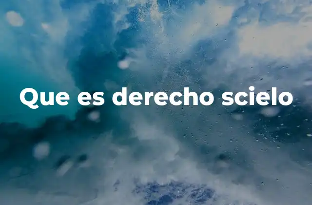 Que es Derecho Scielo