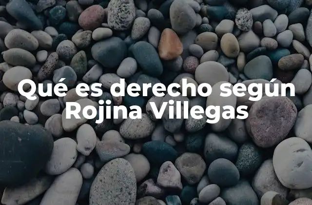 Qué es Derecho según Rojina Villegas 6 El derecho como reflejo de la realidad social