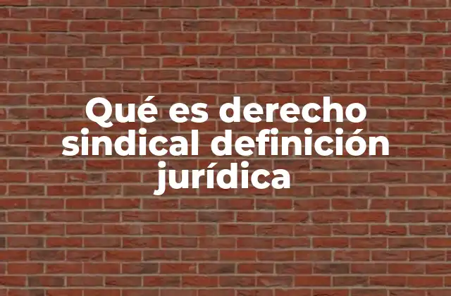 Qué es Derecho Sindical Definición Jurídica 2 El papel de los sindicatos en el marco legal
