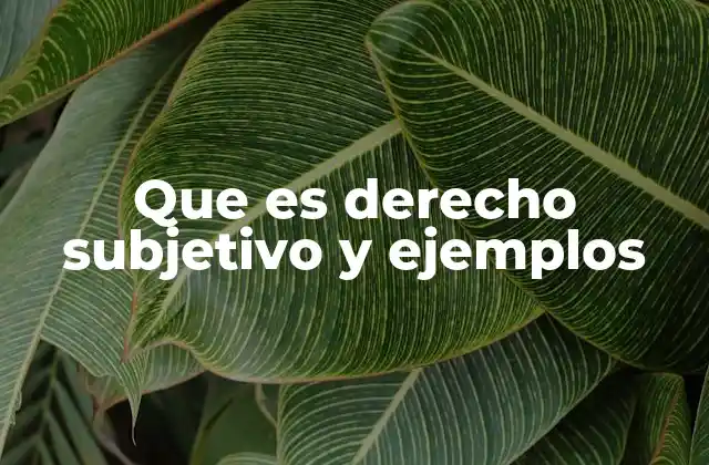 La relación entre el derecho subjetivo y las obligaciones