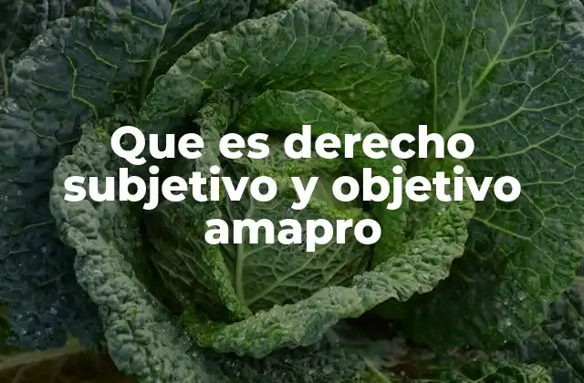 Que es Derecho Subjetivo y Objetivo Amapro