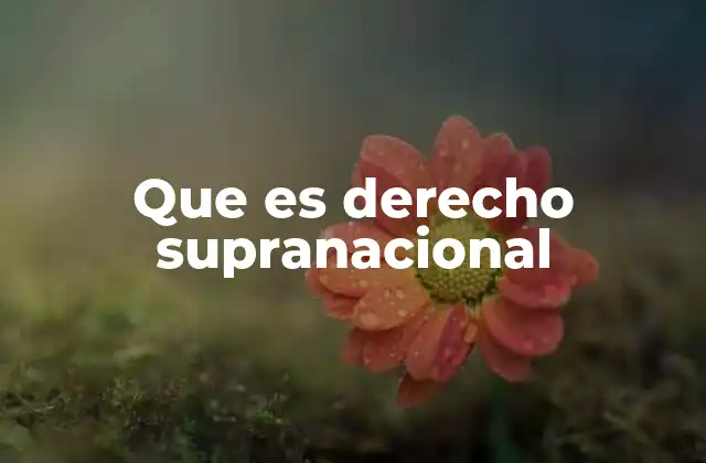 Que es Derecho Supranacional 2 La evolución del derecho internacional hacia lo supranacional