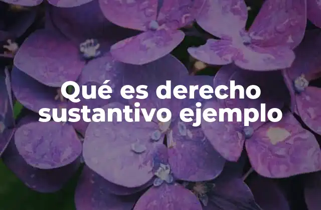 Cómo se distingue el derecho sustantivo de otros tipos de derecho
