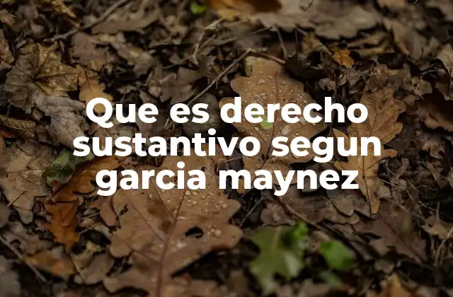 Que es Derecho Sustantivo Segun Garcia Maynez