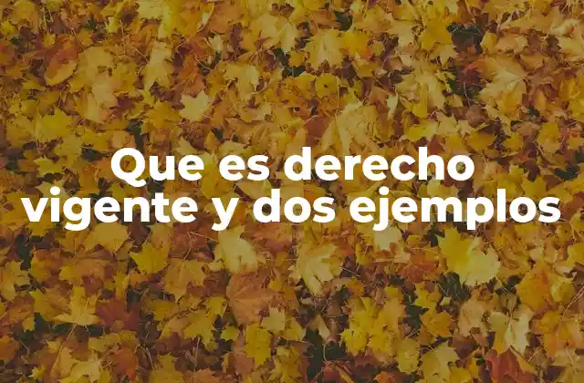 Que es Derecho Vigente y Dos Ejemplos