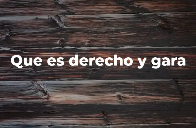 Que es Derecho y Gara